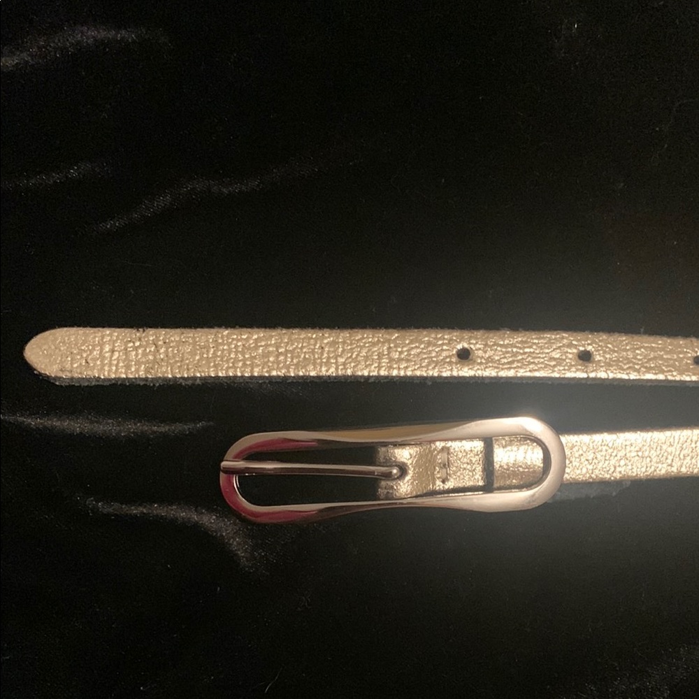 Express Gold Belt Classic Accessory